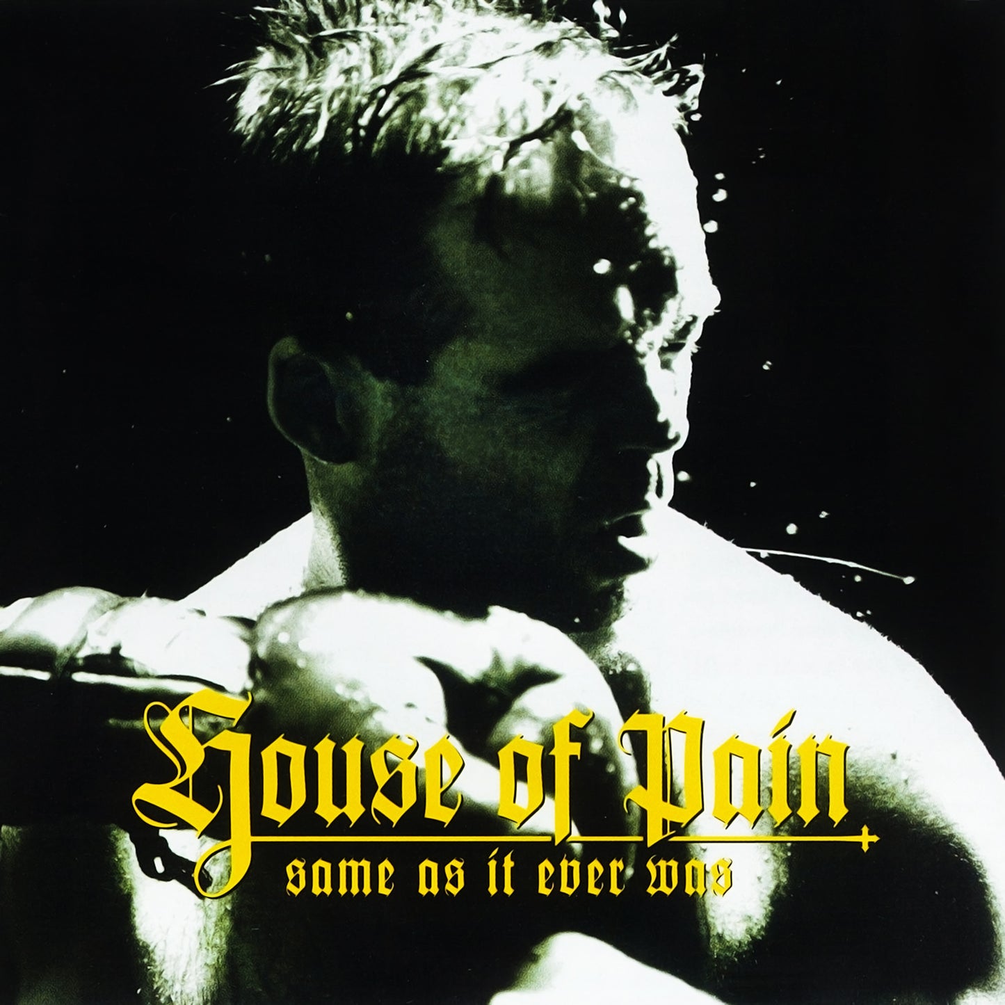 House of Pain: Same as It Ever Was (30th Anniversary) LP+7"